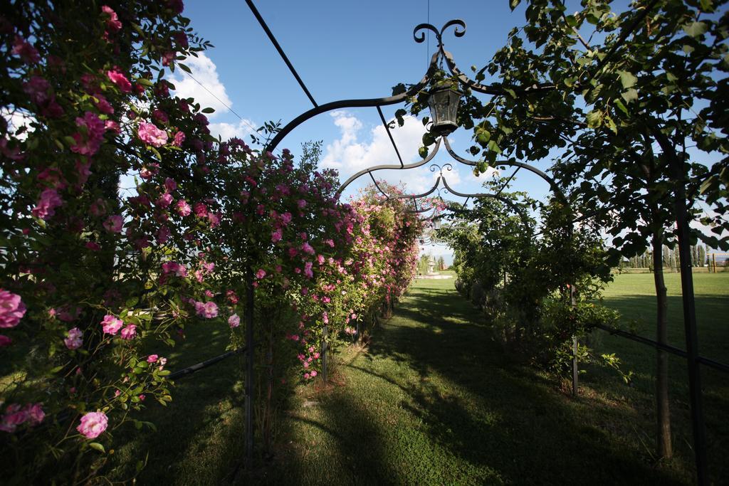 Resort E Spa San Crispino Assisi Buitenkant foto