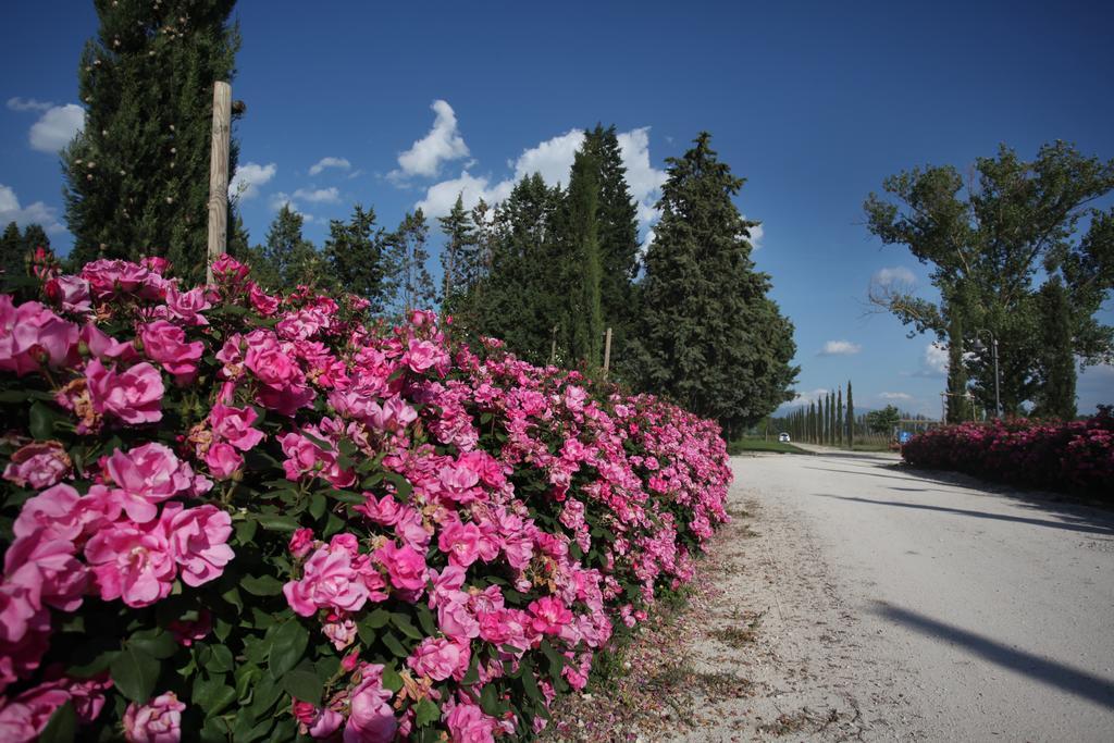 Resort E Spa San Crispino Assisi Buitenkant foto